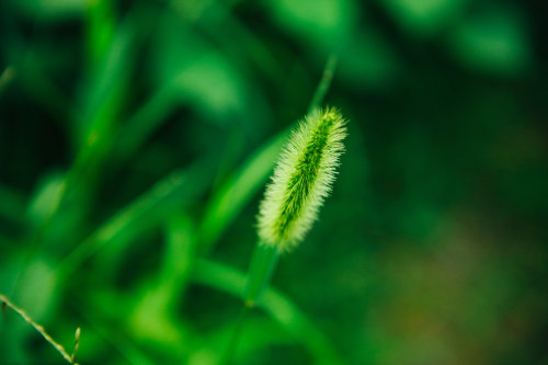 小程序开发