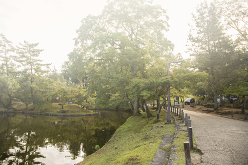 大连小程序开发