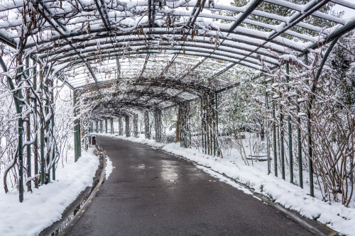 微信小程序开发 微信小程序开发